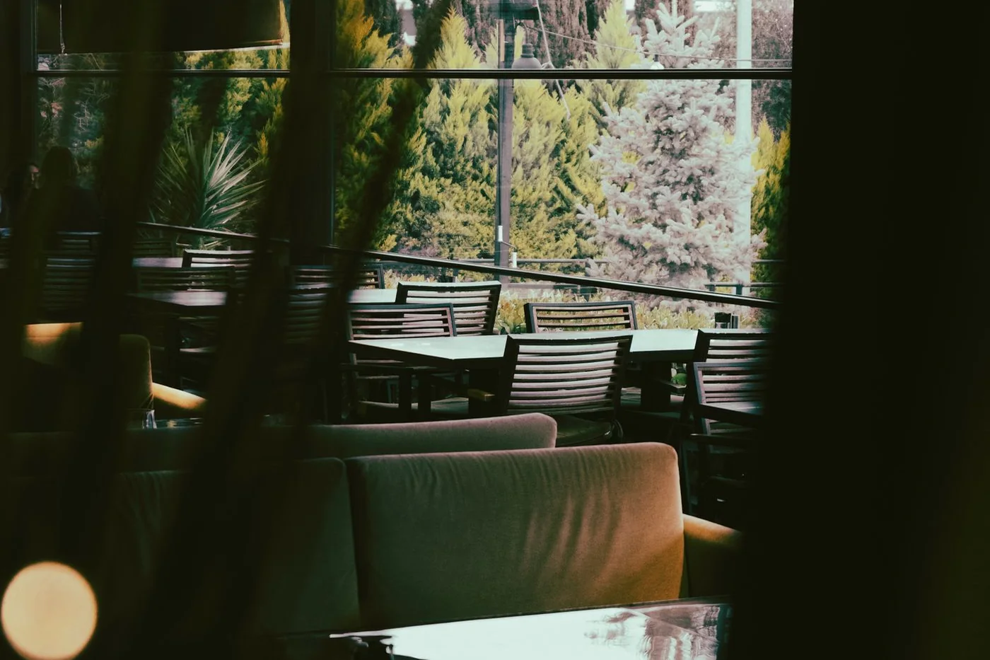 Restaurante acogedor con vistas a un jardín.